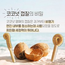 코코도넛 브러쉬 와플팬 세척솔 제로웨이스트 수세미, 데일리 롱브러쉬