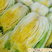 30년배추농사꾼 이성학 명품 해남절임배추 20kg (대장균걱정안심 GAP인증 국산천일염 해수절임배추 명품김장배추), 11월08일(화)도착