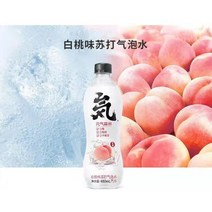 연소중국식품 웬치썬린 스파클링 복숭아맛 480ml 한개 한박스, 한박스  480ml *15개