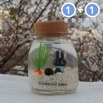 원플러스 [1+1]화이트 마린토끼 DIY세트-마리모소(5mm)포함, 1개