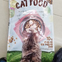 노브랜드 캣 푸드 반려묘 사료 (성묘용) 10kg x 1개, 단품, 단품