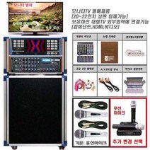 태진 가정용 노래방기계 K2-A1200-308BT-Y900 이동식 23년02월곡, 무선마이크 충전식 2개형