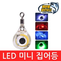 (행운을파는낚시) LED 미니 집어등(5종류) 수중 집어등 두족류 갈치 볼락 갑오징어 주꾸미 문어, LedMini-2(블루)