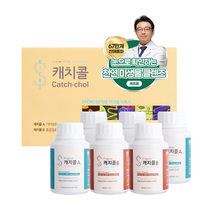 중앙미생물연구소 몸속 찌꺼기 배출 클렌즈 프로그램 캐치콜, 200mlx4병+400mlx2병, 1세트