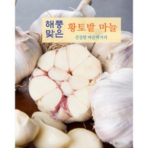 서산마늘 3kg 중 대 특 햇마늘 황토밭 대서마늘 산지직송, 중 3kg, 1개