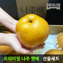 이츠올릿 나주배 과일 햇배 선물세트 황금 신고 원황 성환 배 선물 배달 가정용, 햇배 특품 5kg (8-10과)