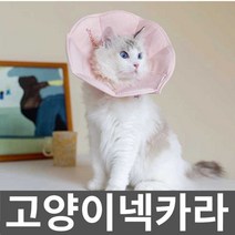 고양이넥카라 강아지목튜브 중성화 천 꿀잠 애견 쿠션, 상세 페이지 참고