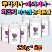 차즈기 국산 차조기 자소엽 농축분말 가루 추출물 푸룬 아이노산 유산균 붉은 보라색 깻잎 파우더 깻입