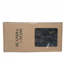 천연이끼 스칸디아모스 아이스블루(150g) - 공기정화 기능 관리쉽고 그늘에서도 잘 자라는 인테리어 식물 취미 원데이 클래스 디퓨저 화분 만들기(4개 이상 주문배송)