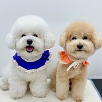 개달당 버라이어티 턱받이 16종택1 강아지턱받이 고양이턱받이