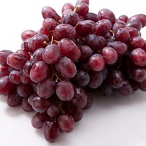 오렌지씨 수입포도 껍질째먹는 크림슨 적포도 1kg내외, 크림슨적포도:1kg내외 점보사이즈