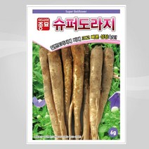 슬로시 도라지씨앗 슈퍼도라지 6g 씨앗 아시아