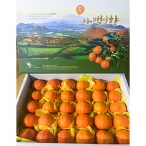 제주 카라향 선물용 5kg 10kg 고당도 서귀포 봄 귤 세진농원 사백일향, 사백일향(선물용) 5kg
