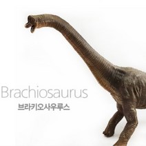 5세 리얼 관찰 브라키오사우르스 공룡 모형 완구 미니어처 장난감 유아 소프트 피규어 어린이집 교육용 역할 놀이 미니어쳐 교구 교육 유치원 모래 치료