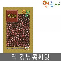 적강낭콩씨앗 30g 강낭콩씨앗 강낭콩씨 적강낭콩 씨앗, 적강낭콩