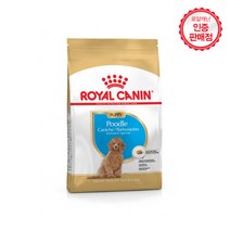 로얄캐닌 푸들 퍼피 건식 사료, 1.5kg, 1개