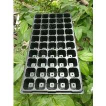 모종 트레이 포트 육묘상자 삽목 판 다육 발아 씨앗, 32 구멍(각 120g)