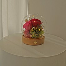LED 이터널로즈 프리저브드 플라워 무드등 2종, Red&beauty 13cm