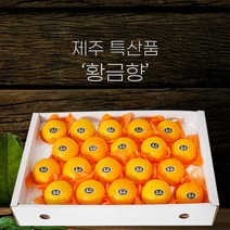 제주직송 하우스 새콤달콤 고당도 황금향 3kg 4kg 5kg 가정용 선물용, 1개