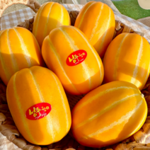 [초고당도] 성주 꿀참외 당도보장참외 선물용 가정용 3kg 5kg 산지직송, 가정용 3kg 중과 (7~10개)