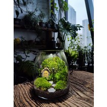 비바리움 테라리움 이끼 분재 마이크로 조경 유리병 수제 에코 병 DIY, 단일사이즈, 조경 납품