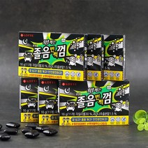 롯데제과 롯데껌 졸음번쩍껌 16g 11개 x 6, 없음