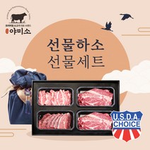 야미소 미국산 초이스급 냉장 소고기 선물세트 선물하소, 3kg세트: 갈비살+부채살2팩+알목심3팩