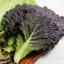 [율스키친] GAP인증 충북 당일수확 적겨자 1kg, 상세 설명 참조