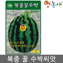복중꿀수박씨앗 10립- 수박 수박씨 수박씨앗