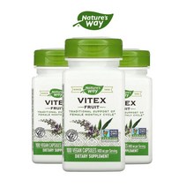 네이쳐스웨이 바이텍스 프루트 400mg 100캡슐 3통, 3개, 100정