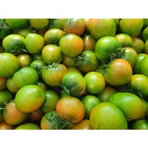 [100%농협인증] 부산 대저 짭짤이 토마토 2.5kg, 대저토마토 L 2.5kg, 1개