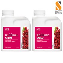 냉장 흥국 맘스리얼베이스 오미자 1kg 2개세트