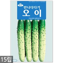 백작두콩 씨앗 10립 - 작두콩 작두콩씨앗 작두콩씨 콩씨앗 콩씨 씨 주말농장 텃밭, 04_만나다다기오이(15립)