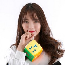 스펀지주사위(중)10cm6칼라 스펀지 대형주사위 게임, 상세페이지 참조, 상세페이지 참조