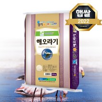 경기미 해오라기쌀 20kg 연천농협 특등급쌀 대안미 쌀20키로 햅쌀 햇쌀푸드, 단품