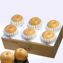 소담촌 2023 수확 햇배(가정용/흠과), 1박스, 5kg(5~6과)/대과