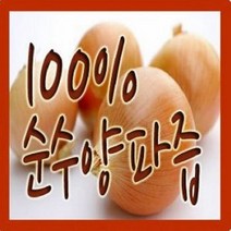 진성식품 물없이100% 순수양파즙 100ml 60팩/120팩 행사/ 추출 후 한번 더 농축, 순수양파즙 30 X 4박스 120팩, 120팩