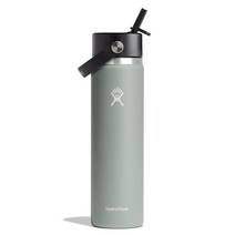 Hydro Flask 와이드 플렉스스트로 캡 메사 24온스, Flex Straw 32 Oz_Agave, Agave, Agave