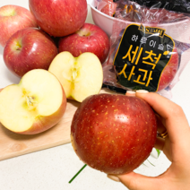 껍질째 먹는 세척사과 꿀사과, 홍로(못난이)중소과, 2kg, 1개