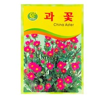 SN월드 중앙꽃씨 씨앗, 중앙꽃씨-과꽃
