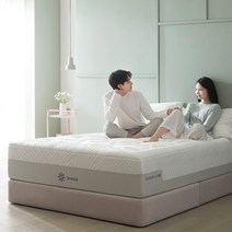 [지누스] 클라우드 럭스 메모리폼 매트리스 (30cm/퀸)