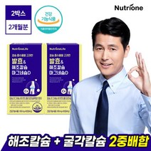 [뉴트리원]정우성 발효해조 칼슘 마그네슘 비타민D 2박스 칼마디, 단품, 단품