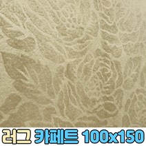 자취방 카페트