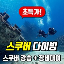 [50%이벤트] (서울) PADI 어드밴스드 스쿠버다이빙 1DAY/그룹/퍼스널 트레이닝/코스디렉터 퍼스널 트레이닝 교육 패디 (스쿠버 자격증), 1 Day(이러닝)