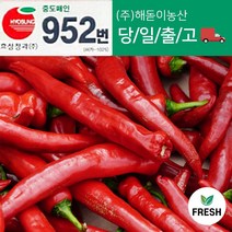 <해돋이농산> 국내산 홍고추 빨간고추 붉은고추 상품 특품 5kg 1박스 (10kg내외), 5kg 상품(못난이), 1개” class=”wr-img”></a></div></div></div></div><div class=