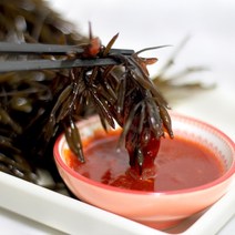 철따라농산물 당일채취 완도 생 톳 500g 1kg, 1개