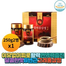 6년근 활력 홍삼정 현대인 면역기능 대용량 달콤한맛 국내산 홍삼 뉴질랜드산 허니 앤 레드진 대동 고려삼 프락토올리고당 한천 클로버벌꿀 아이 성인 청소년 노인 남녀노소 활력선물