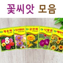 살아있는 꽃씨 야생화 키우기 다년생 채송화 다알리아 달맞이꽃 해바라기 맨드라미 봉선화 코스모스 메리골드 패랭이 접시꽃 사루비아 구절초 유채 백일홍 금잔화 꽃씨앗, S- 꽃씨-해바라기 x 2개, 1개