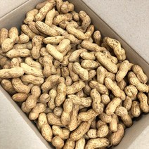 (자연마을) 경기 이천 국내산 피땅콩 1kg 2kg 3kg