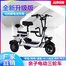 세발전기자전거 노인 어르신 성인 자토바이 삼륜 전동, 상세 페이지 참고, 12A 3인승 약 50km 48V